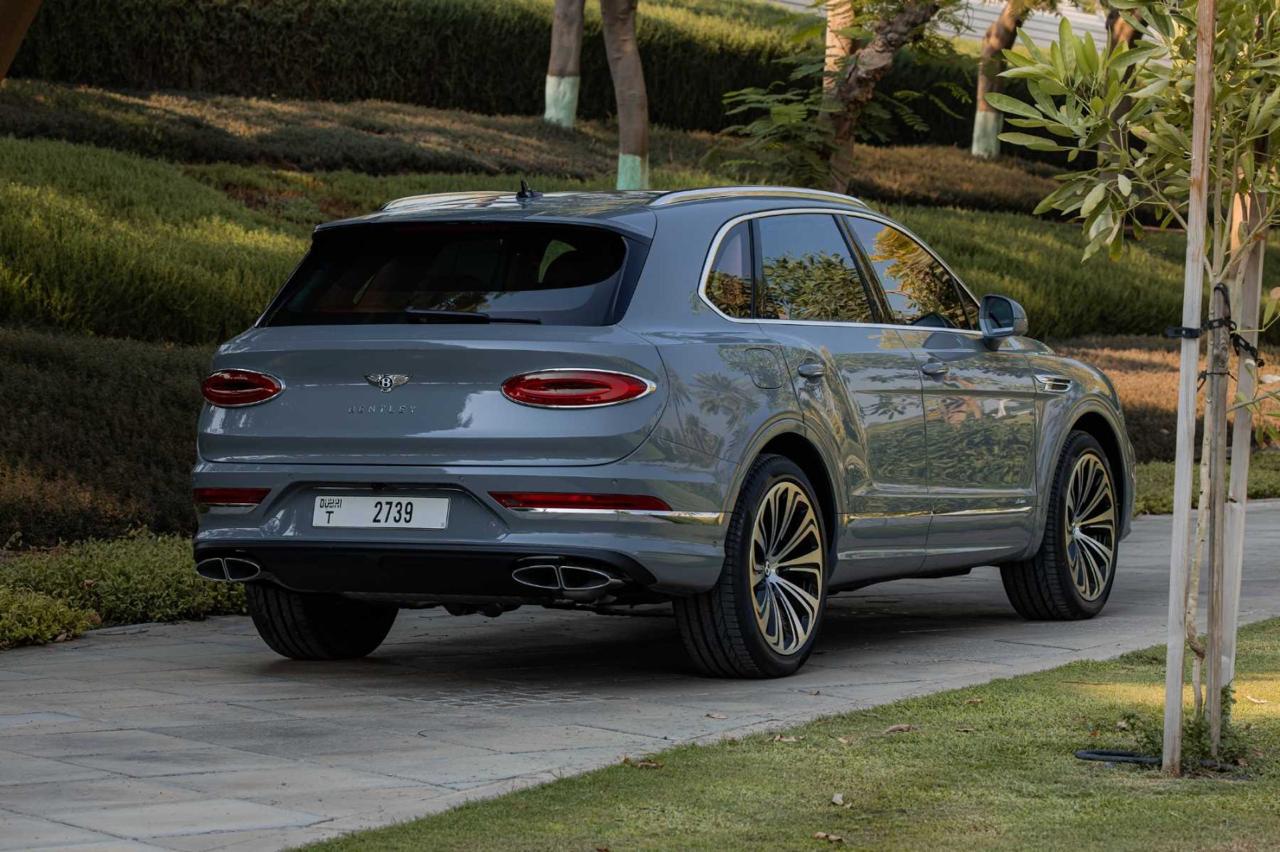 WhatsApp Image 2025-11-13 at 2.54.52 PM