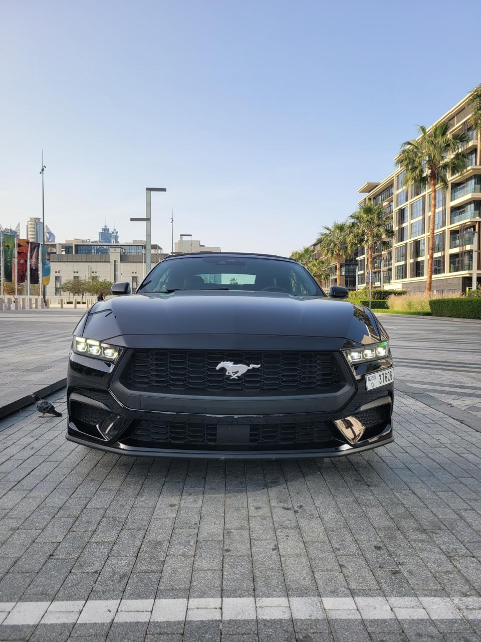 FORD Mustang Black