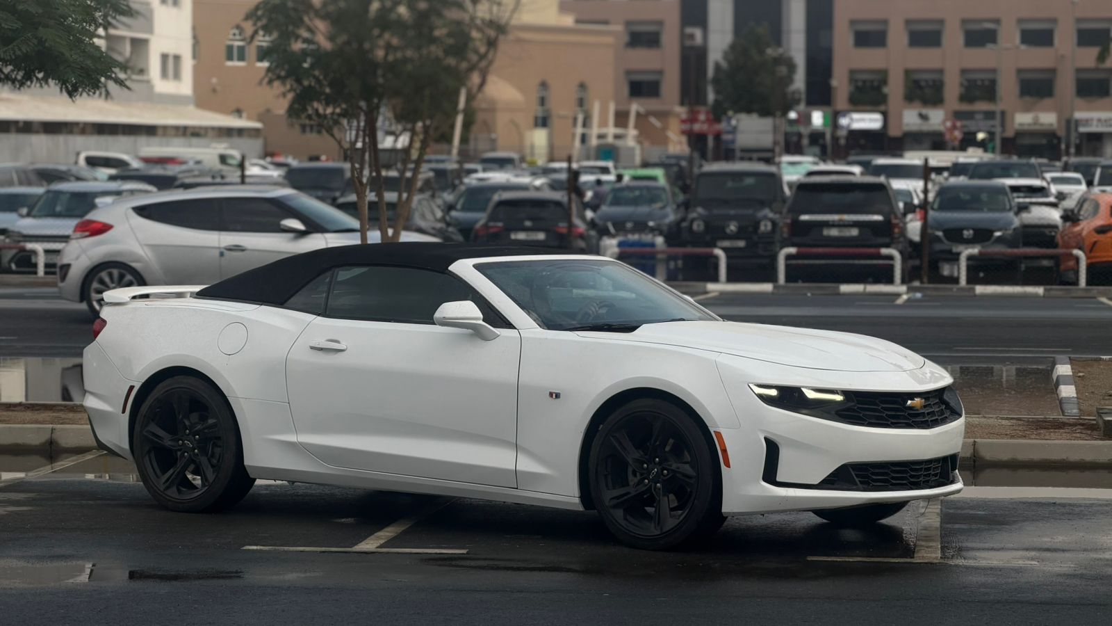 Chevrolet camaro
